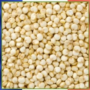 Quinoa blanc